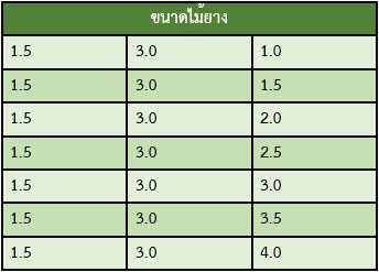 ขนาดไม้ยาง